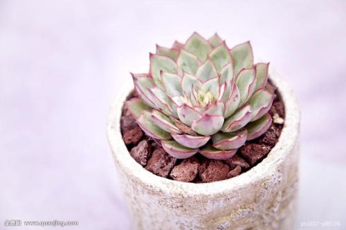 ¹ú¼ÒÌú·¾ÖÅú×¼·¢²¼ÊÐÓò(½¼)Ìú·Éè¼Æ¹æ·¶ ´ðÎÊ