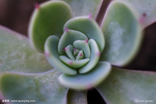 ȫIPOʶӽʷλ гǹĭ