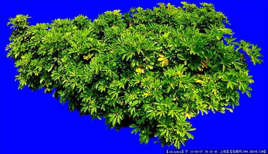 ¹ú²ú¾ç¡°½»¾í¡±À²£¬2020ÄêÄã×·¹ý¶àÉÙ£¿Çë´ò·Ö