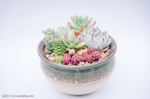 2020ÄêÈ«¹úÕì°ìÇÖ·¸¹«Ãñ¸öÈËÐÅÏ¢ÐÌʰ¸3100ÓàÆð