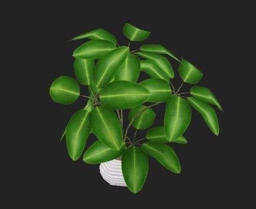 ÎÄ»¯ºÍÂÃÓβ¿½«¿ªÕ¹¡°ÊÓÆµÖ±²¥¼ÒÏçÄꡱ»î¶¯