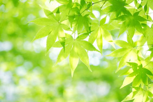 ÇòÐÇÇǵ¤×´¸æÇǵ¤ÌåÓý¹«Ë¾£¬ÉϺ£·¨ÔºÐûÅУ¡